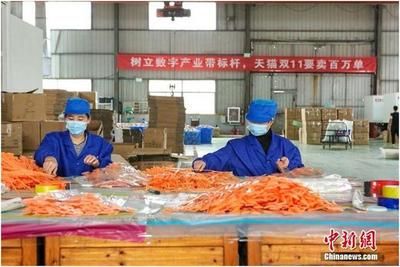 天貓雙11首日產(chǎn)業(yè)帶迎來(lái)開(kāi)門紅 7個(gè)產(chǎn)地1小時(shí)銷量過(guò)億